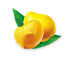 Mango - Kesar