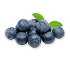 Blue berry